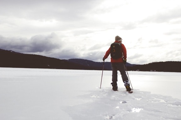salju, musim dingin, es, dingin, pemain Ski, dingin, olahraga, rekreasi