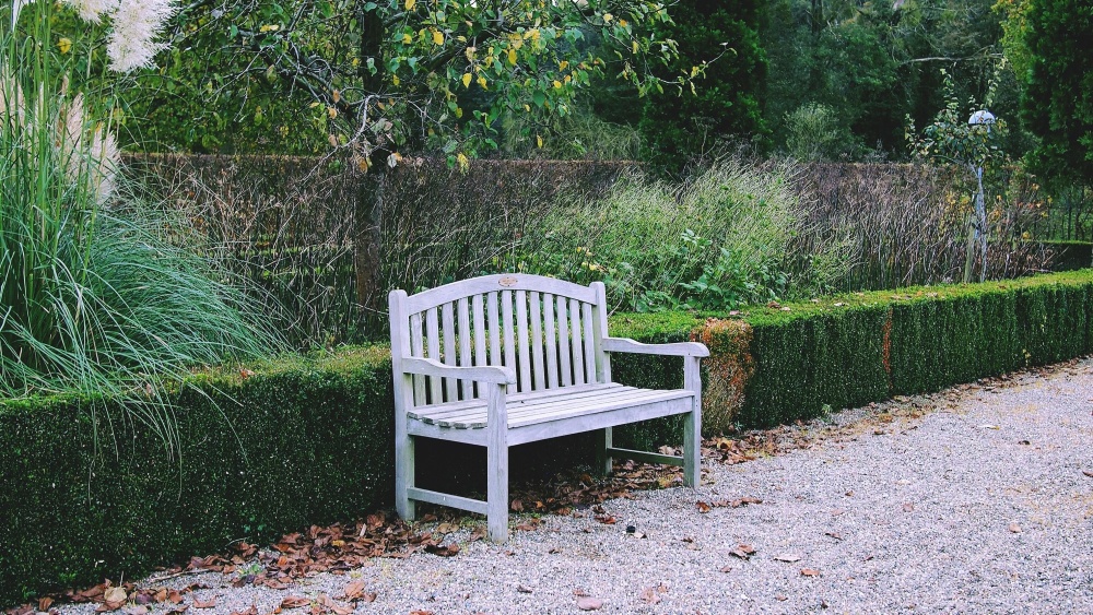 exterior, park, garden, bench, wood, leaf, nature, chair