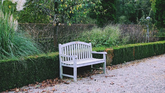 exterior, park, garden, bench, wood, leaf, nature, chair