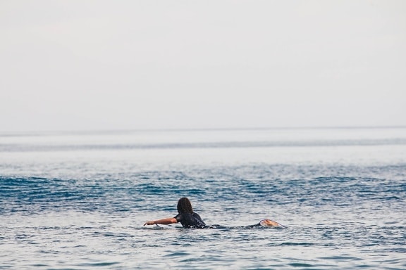 água, surf, esporte, homem, oceano, ondas, horizonte