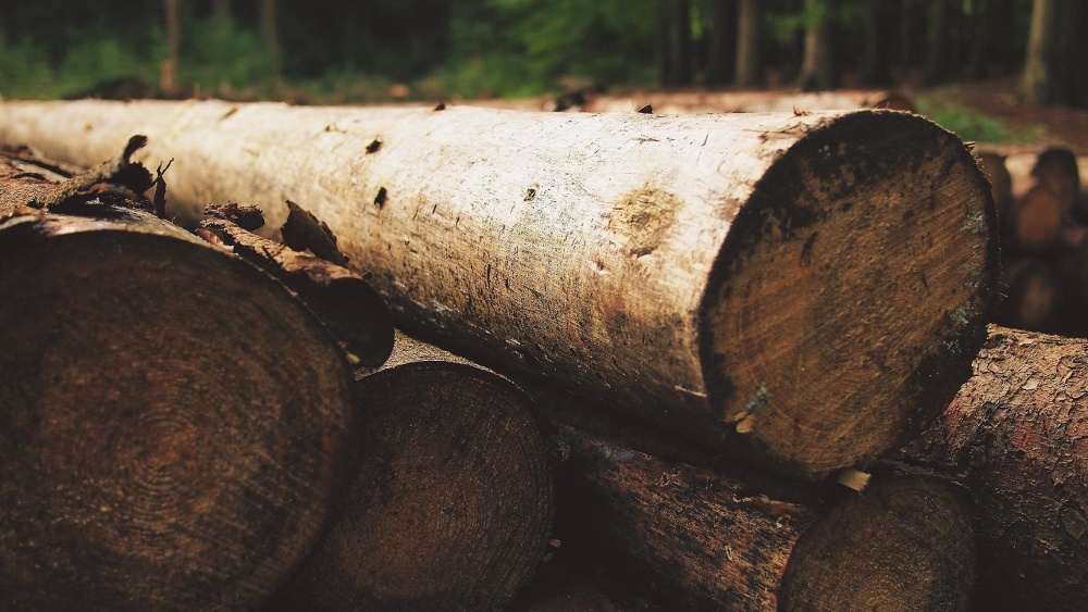 wood, tree, bark, firewood, nature, industry, wooden