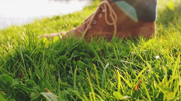 show, fashion, shoelace, grass, lawn, field, ground, summer