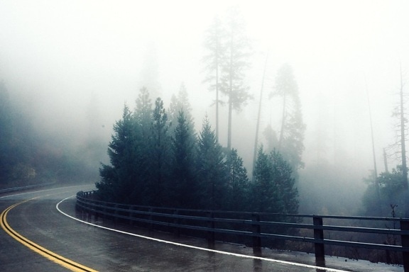 Niebla, camino, niebla, naturaleza, paisaje, árbol, lluvia, madera, asfalto