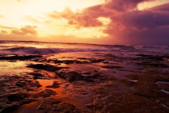 sunset, dawn, water, dusk, beach, sea, sun, landscape, sky, sunrise