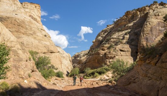 Free picture: canyon, cliff, landscape, water, mountain, nature, rock ...