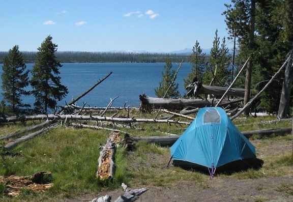 cort, peisaj, natura, padure, lac, camping, adăpost, structura