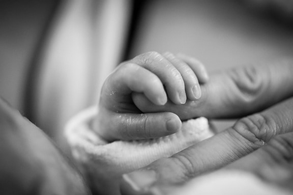 žena, ruke, dijete, beba, crno-bijeli, touch, dijete