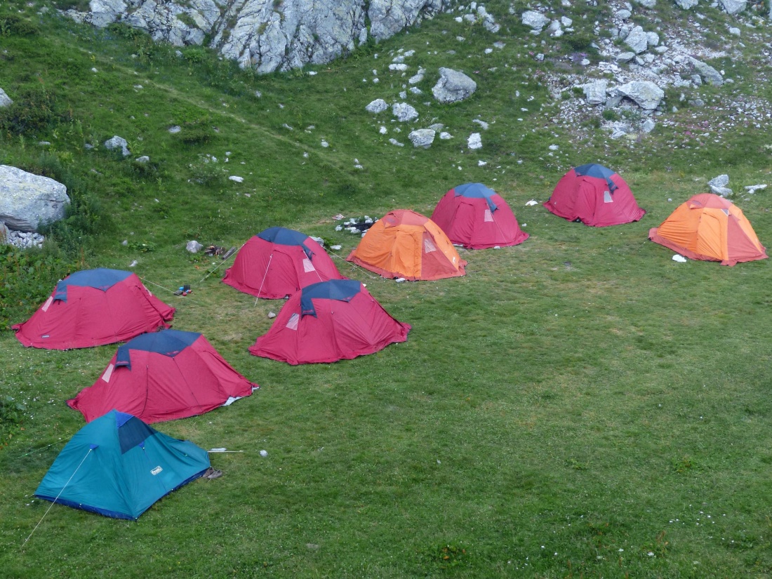 tente, herbe, abri, paysage, abri, camp, summer, camping