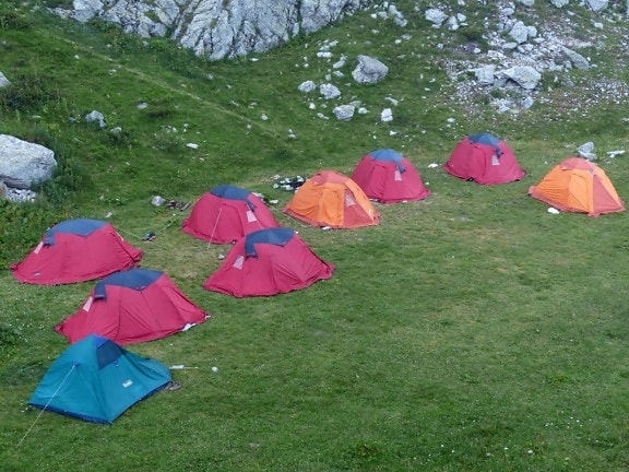 tenda, grama, abrigo, paisagem, abrigo, acampamento, verão, parque de campismo