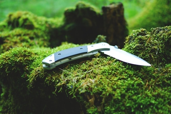 wood, knife, tool, moss, lichen, stainless steel, nature