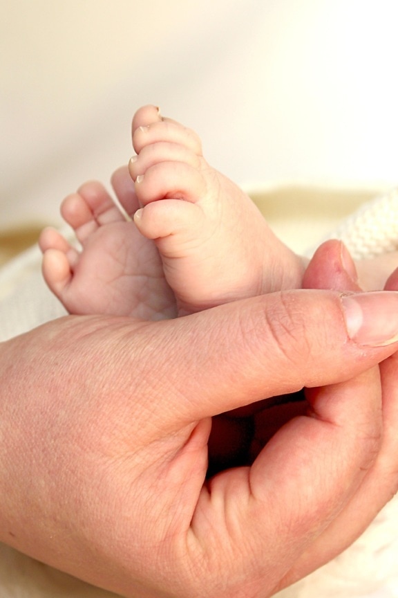 手、足、皮膚、赤ちゃん、女性、子供、手、新生児