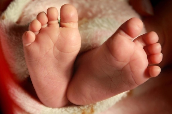 足、赤ちゃん、新生児、皮膚、毛布、子供、無邪気さ、皮膚