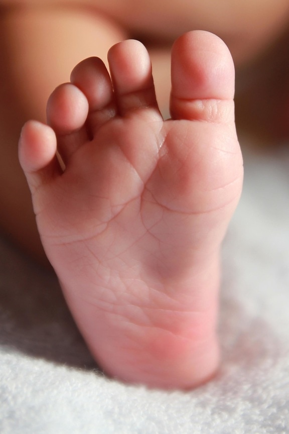 piede, bambino, bambino, neonato, pelle