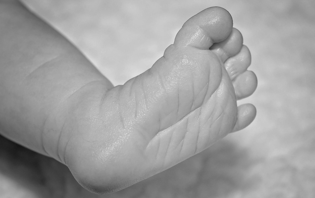 os pés, criança, pele, cobertor, recém-nascido, inocência, monocromático