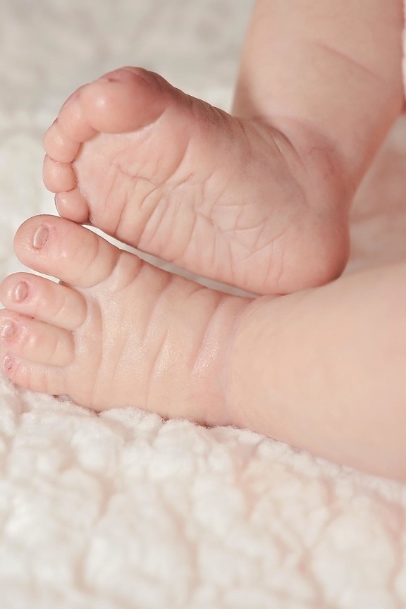 stopala, beba, novorođenče, koža, pokrivač, dijete, nevinost