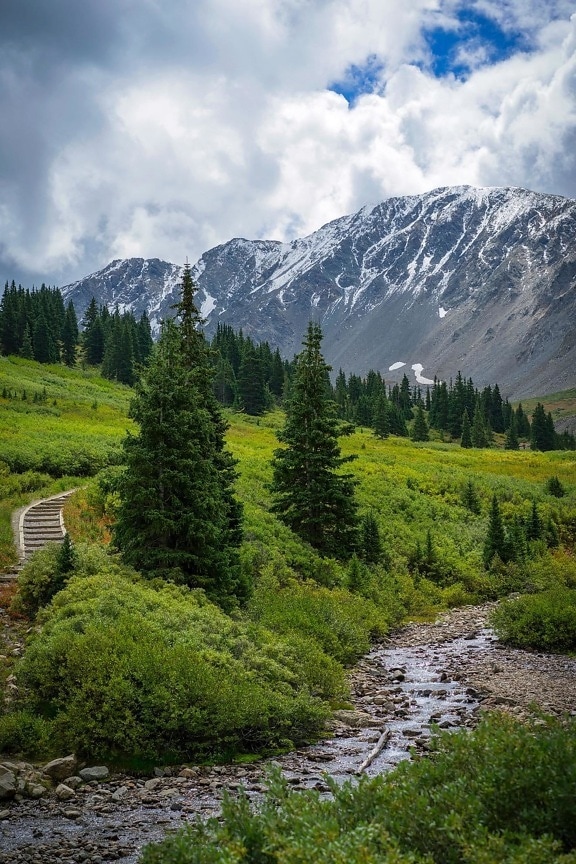 Mountain stream, natuur, landschap, hout, berg
