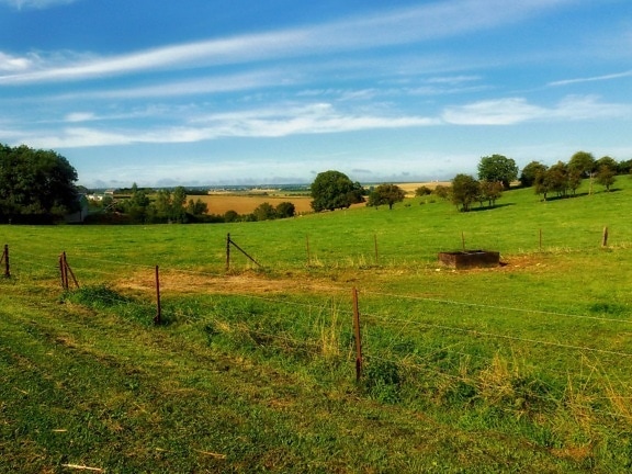 landscape, agriculture, grass, farm, rural, nature, tree, field, countryside