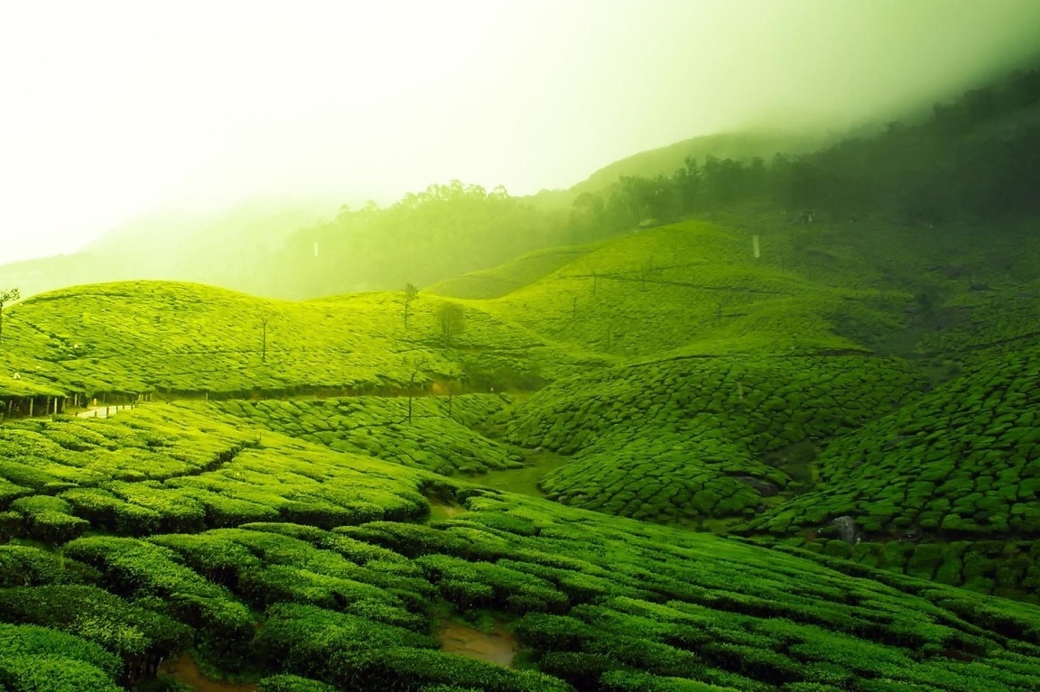 Free Picture Green Landscape Field Grass Grassland Rural Sky Meadow Summer