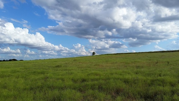 landscape, sky, grass, grassland, field, land, meadow