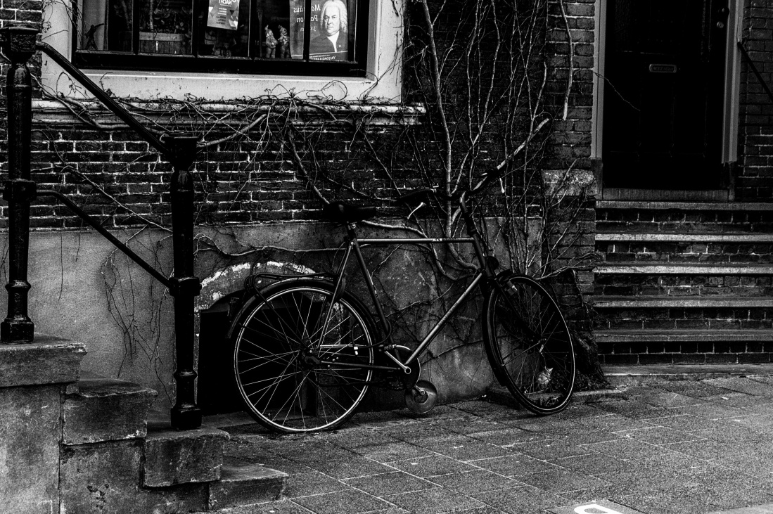 cykel, udvendige, forladte, gaden, monokrom, gamle, henfald