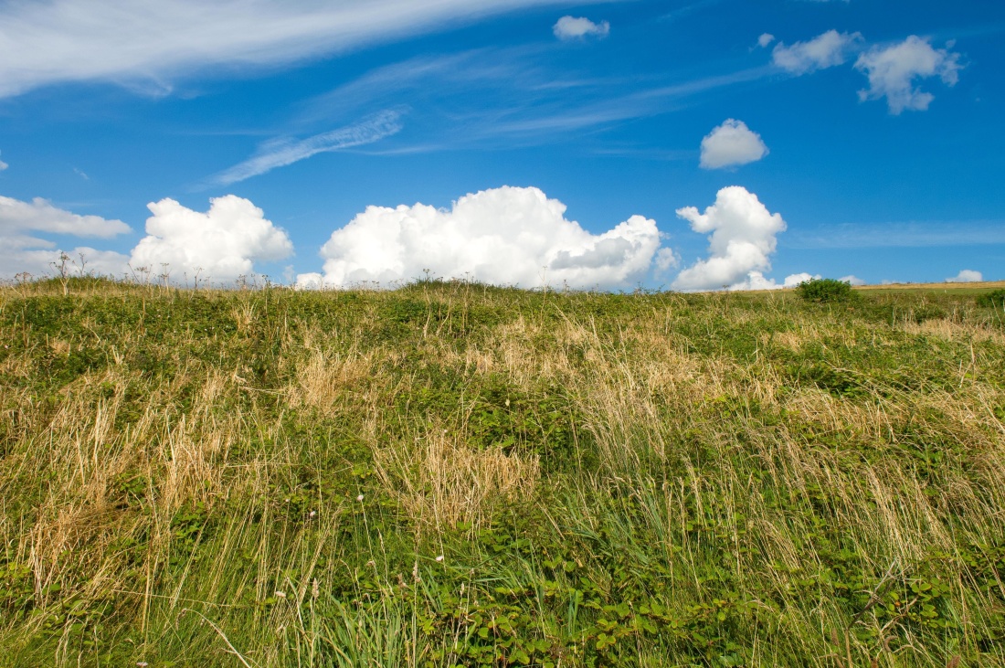 フリー写真画像 草 風景 フィールド 自然 農村の空 草原 草原