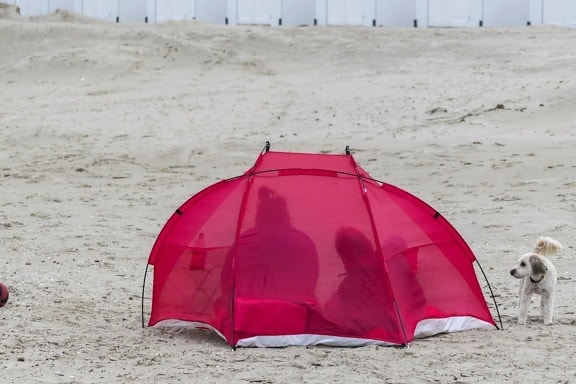 ビーチ、テント、傘、砂、避難場所、風景、構造
