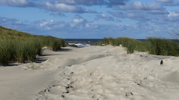 Beach, písek, moře, krajina, příroda, břeh, pobřeží
