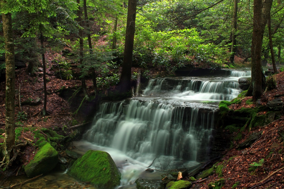 water, waterfall, wood, nature, river, leaf, creek, stream, moss