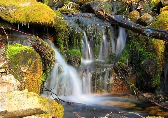 waterfall, water, stream, river, wood, creek, nature, leaf, moss