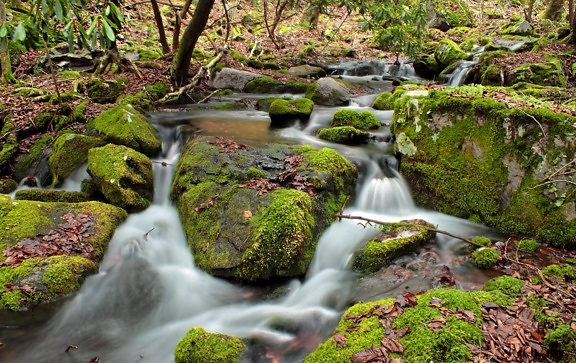 water, waterfall, stream, moss, leaf, nature, river, creek, stone