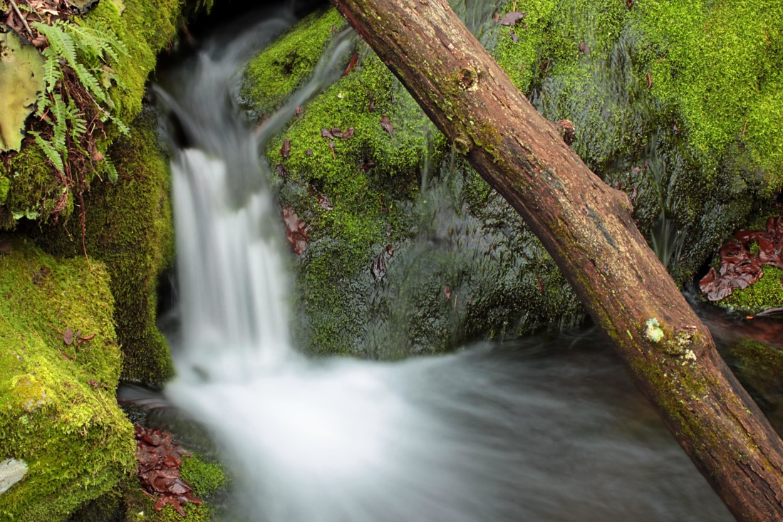 waterfall, water, wood, stream, nature, moss, river, leaf, creek