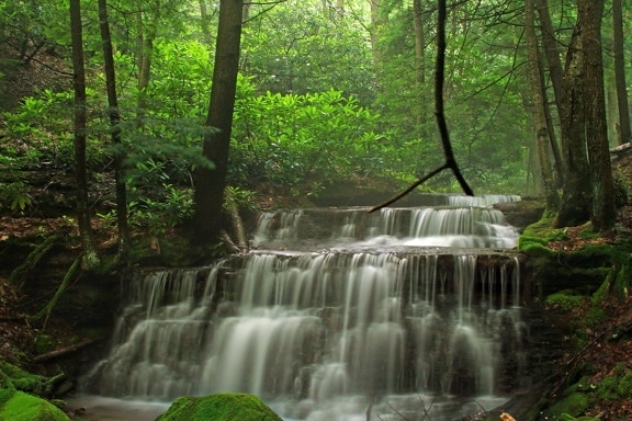 木材, 水, 自然, 瀑布, 叶子, 河流, 潮湿, 景观