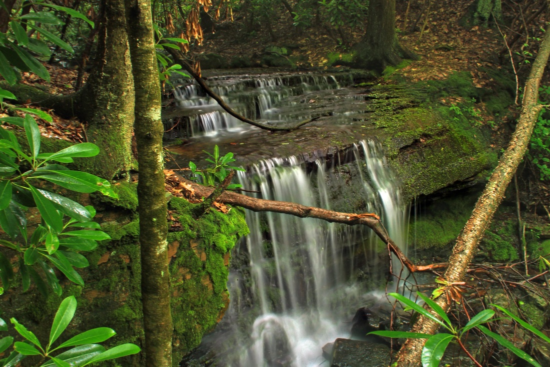 wood, water, waterfall, nature, tree, stream, leaf