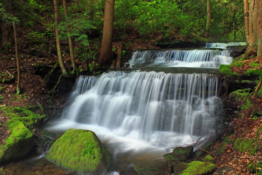 waterfall, water, stream, river, wood, nature, creek, moss, leaf
