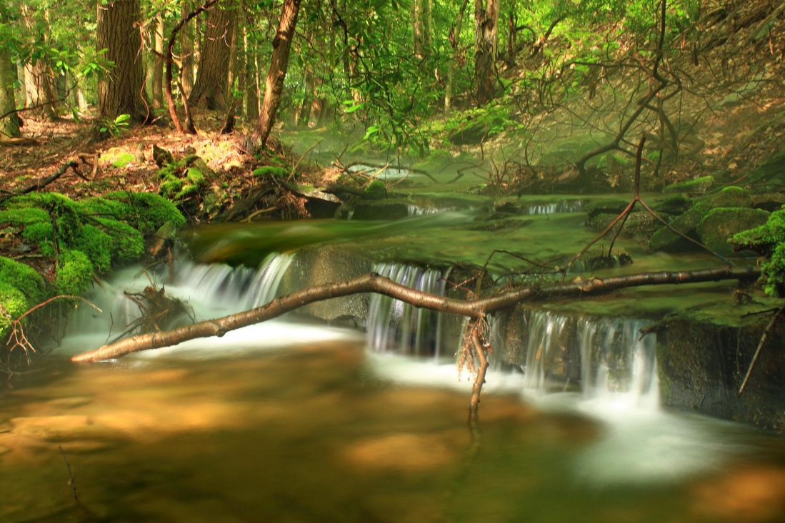 vody, dreva, prírody, leaf, rieky, lesa, krajina, strom, mokré, vodopád, stream