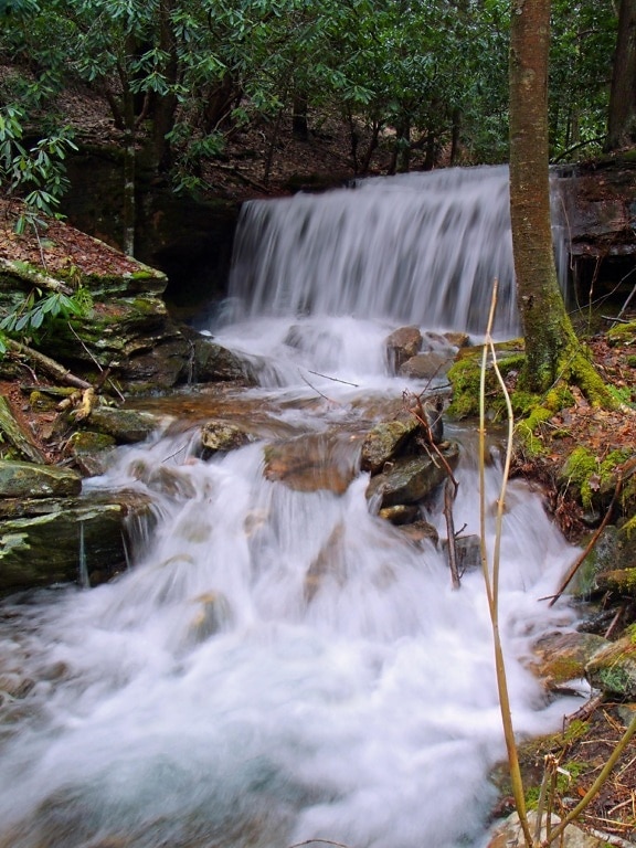 Waterval water, rivier, stroom, natuur, hout, creek, mos, landschap