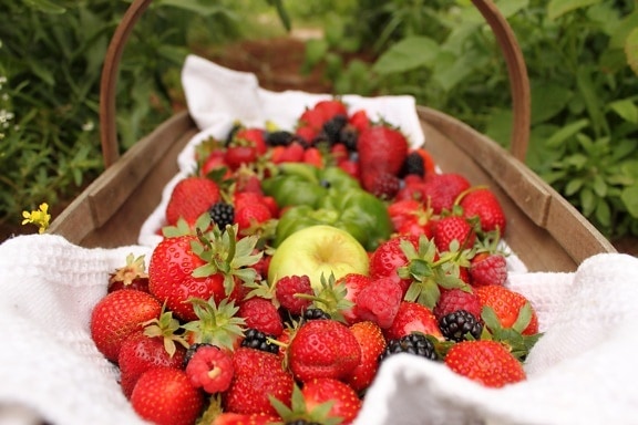 딸기, 과일, 유기농, 음식, 잎, 달콤한, 맛 있는, 여름