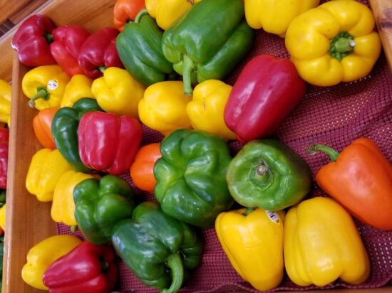 peperone, vegetale, nutrizione, cibo, verdure colorate, mercato,