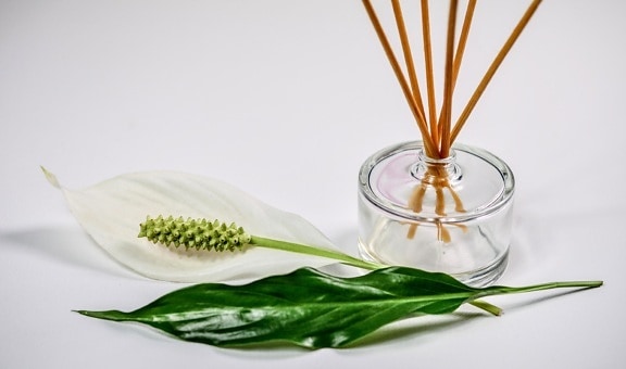 blad, bloem, detail, glas, aromatherapie, fles, geur, object, parfum