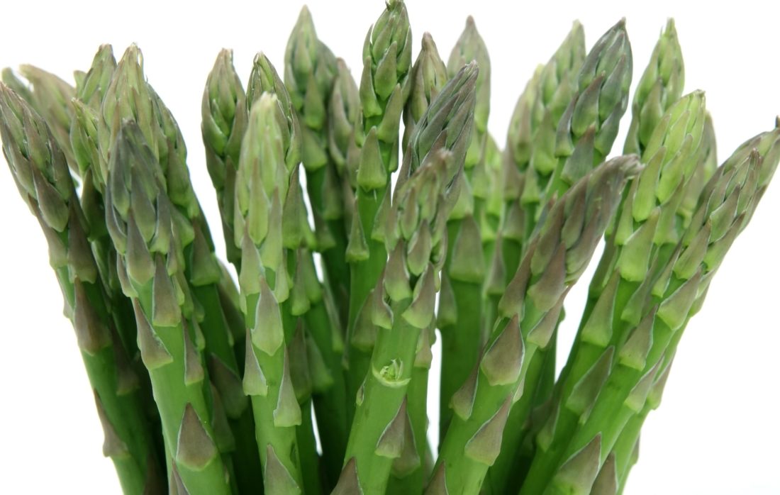 asparagus, alam, makanan, gizi, sayur, flora, vitamin, daun, tanaman