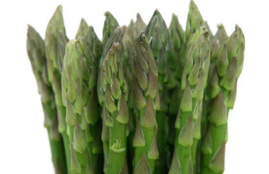 asparagus, macro, food, vegetable, plant