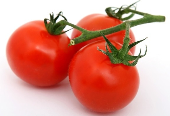 tomato, food, vegetable, nutrition, delicious, leaf, diet, tomatoes