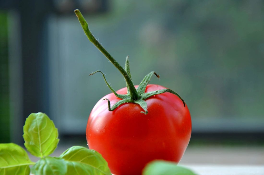 mat, natur, blad, grönsaker, trädgård, tomat, tomater