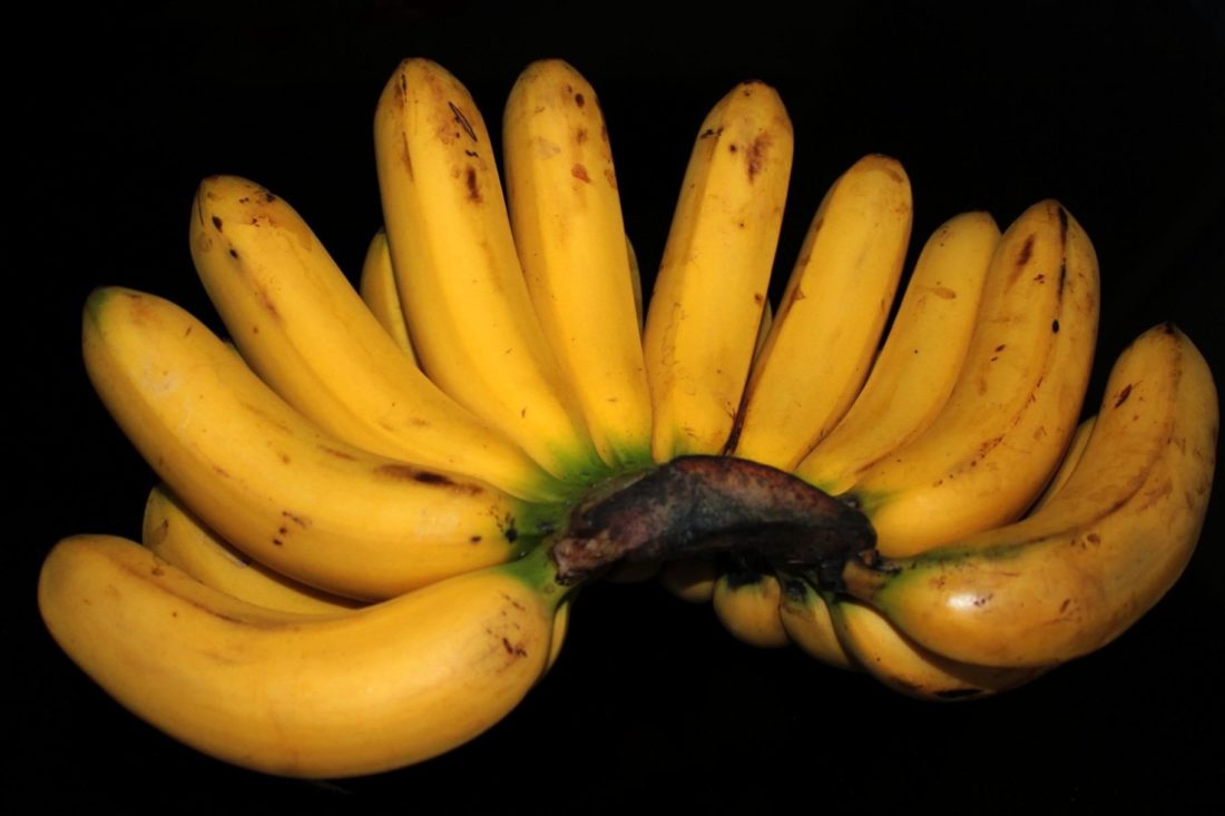 Μπανάνα, τροφίμων, φρούτα, διατροφή, πρωινό, κίτρινο