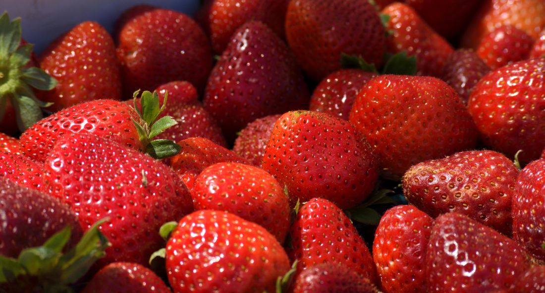jordbær, frugt, bær, mad, lækker, sød, dessert, kost
