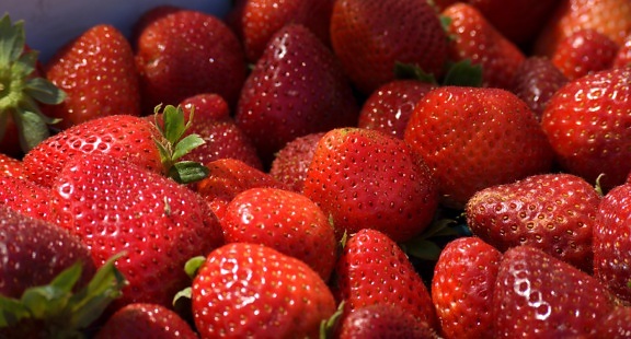 strawberry, fruit, berry, food, delicious, sweet, dessert, diet