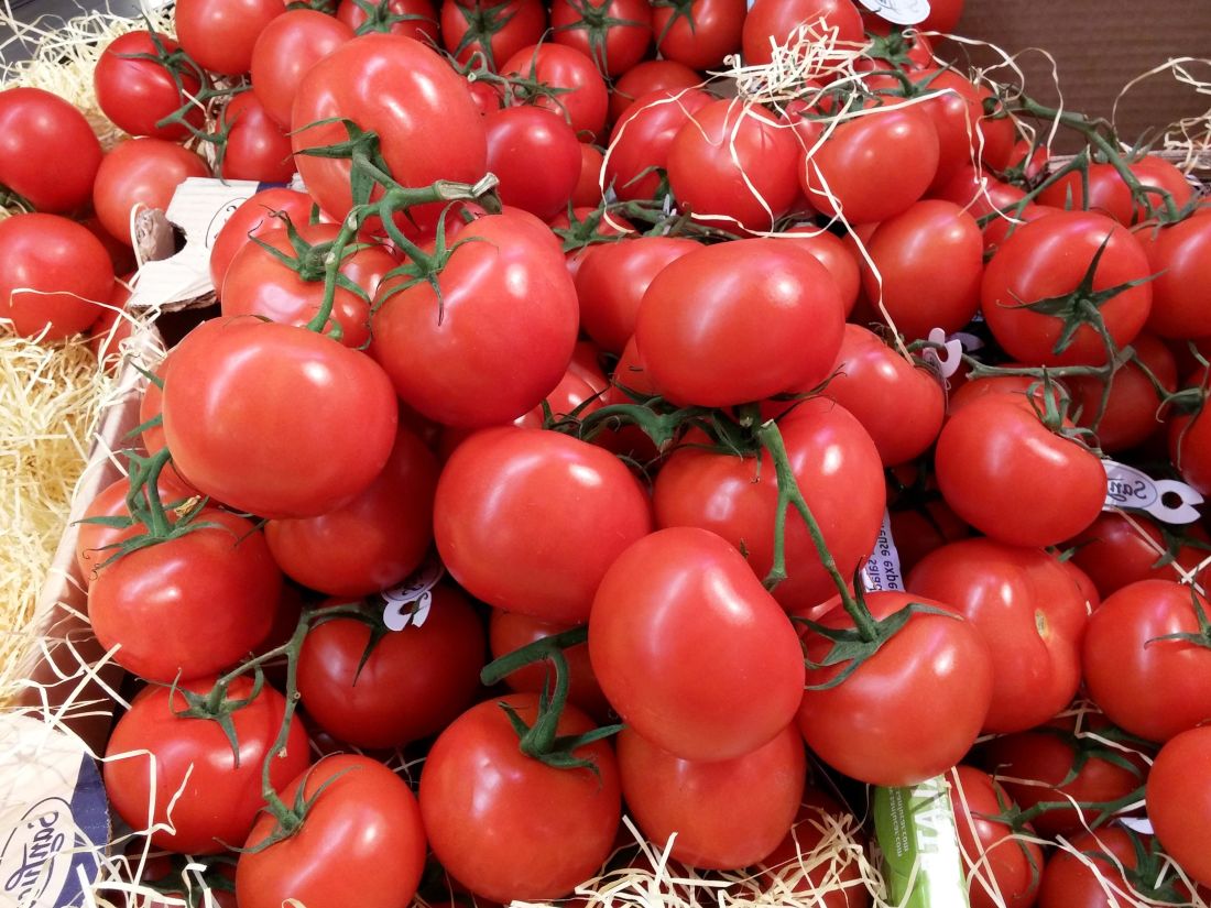 tomato, vegetable, food, nutrition, red, vegetarian