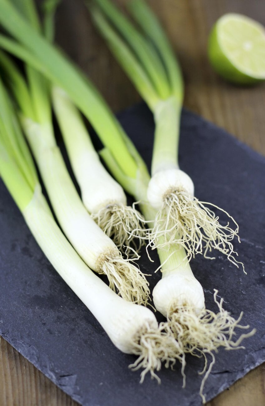 Free picture: root, vegetable, leek, food, garlic, nature, spice, onion
