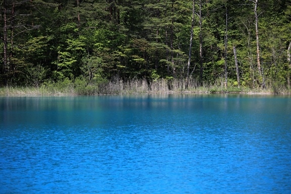 вода, езеро, природа, гора, дърво, пейзаж, lakeside, отражение