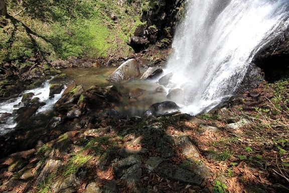water, waterfall, stream, nature, river, wood, landscape, creek